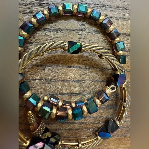 Alex and Ani Gold set of 2 wrap bracelets - Picture 7 of 7
